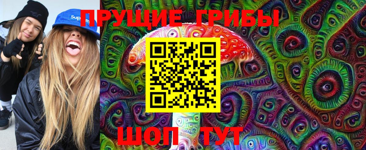 Галлюциногенные грибы Psilocybe Луховицы